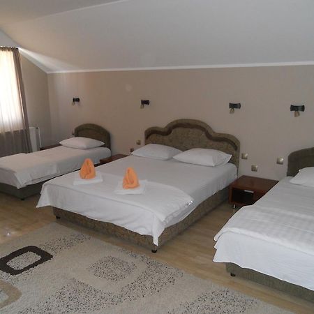 Guest House Vila Bor Novi Sad Exterior foto